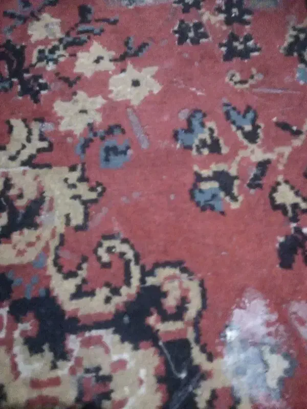 خدماتیسلا|خدمات نظافت|بیرجند, |دیوار