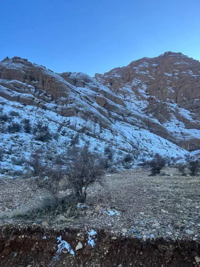 فروش زمین دوکوهک|فروش زمین و ملک کلنگی|شیراز, قلات|دیوار