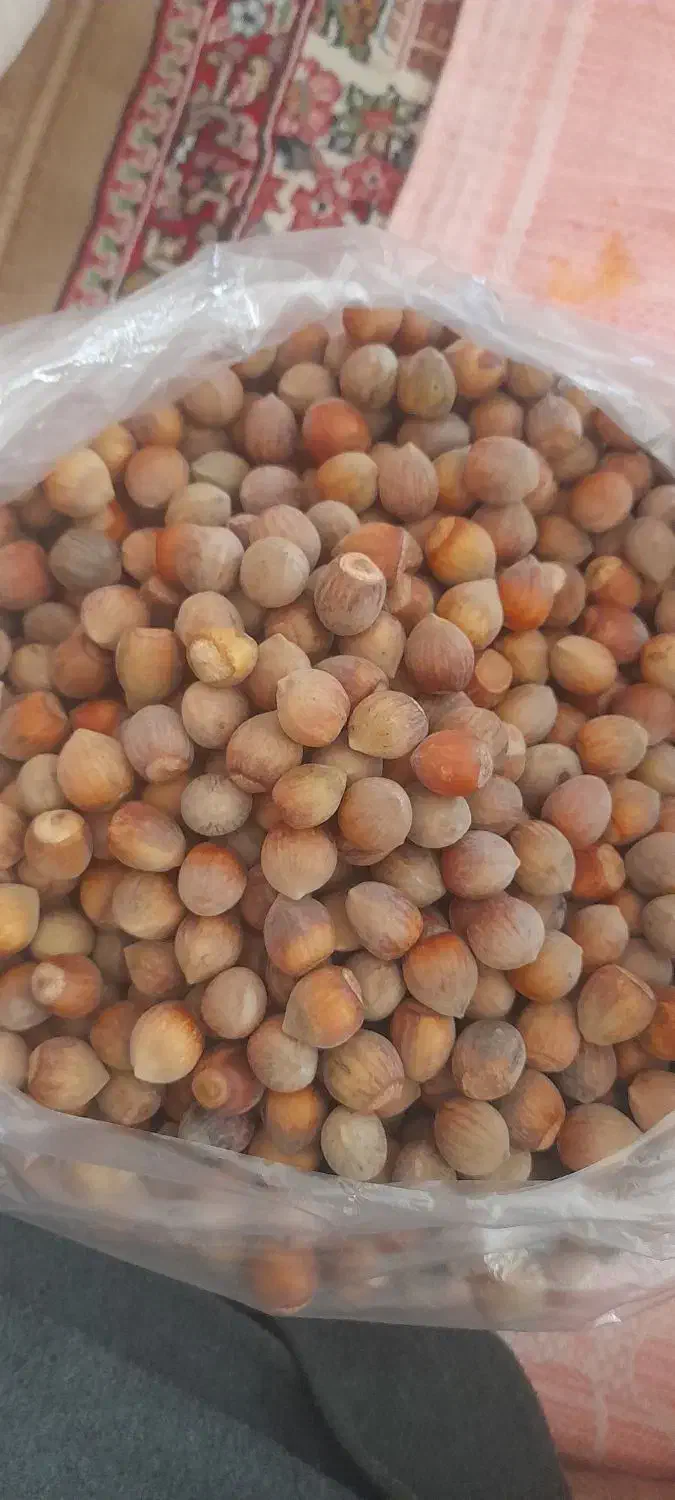 فندوق طارم|خوردنی و آشامیدنی|زنجان, |دیوار