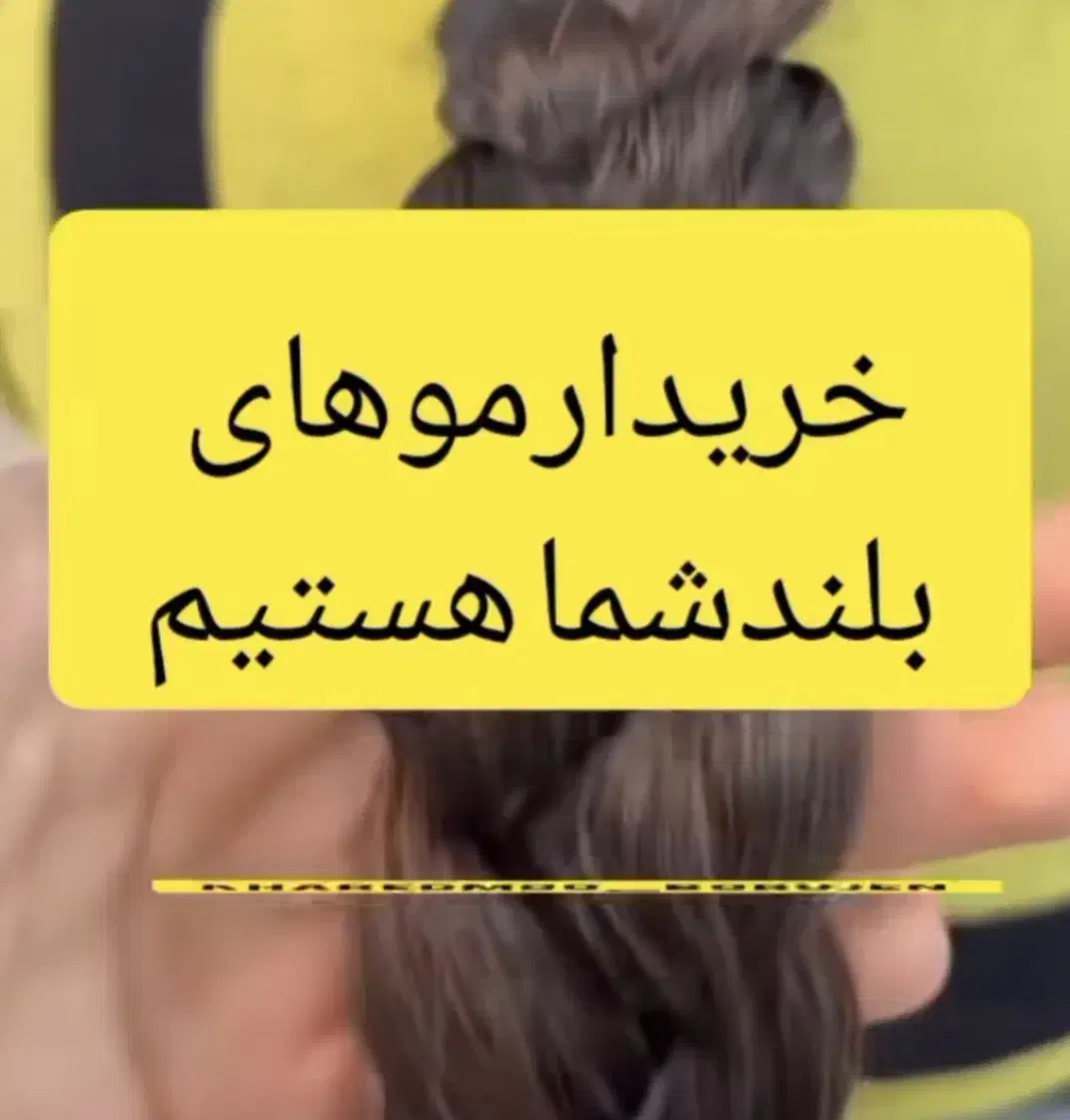 خریدار موی بانوان با بهترین قیمت|خدمات آرایشگری و زیبایی|سامان, |دیوار