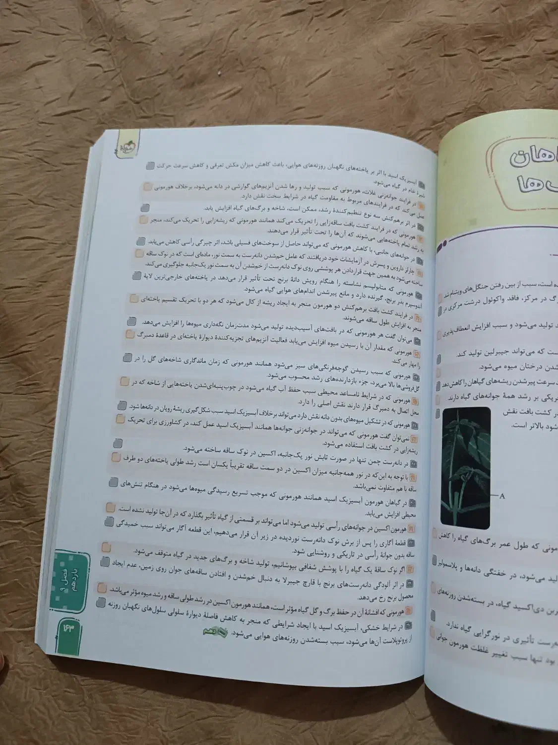 کتاب های کنکور مخصوص کنکور ۱۴۰۵|کتاب و مجله آموزشی|اهواز, کیانشهر|دیوار