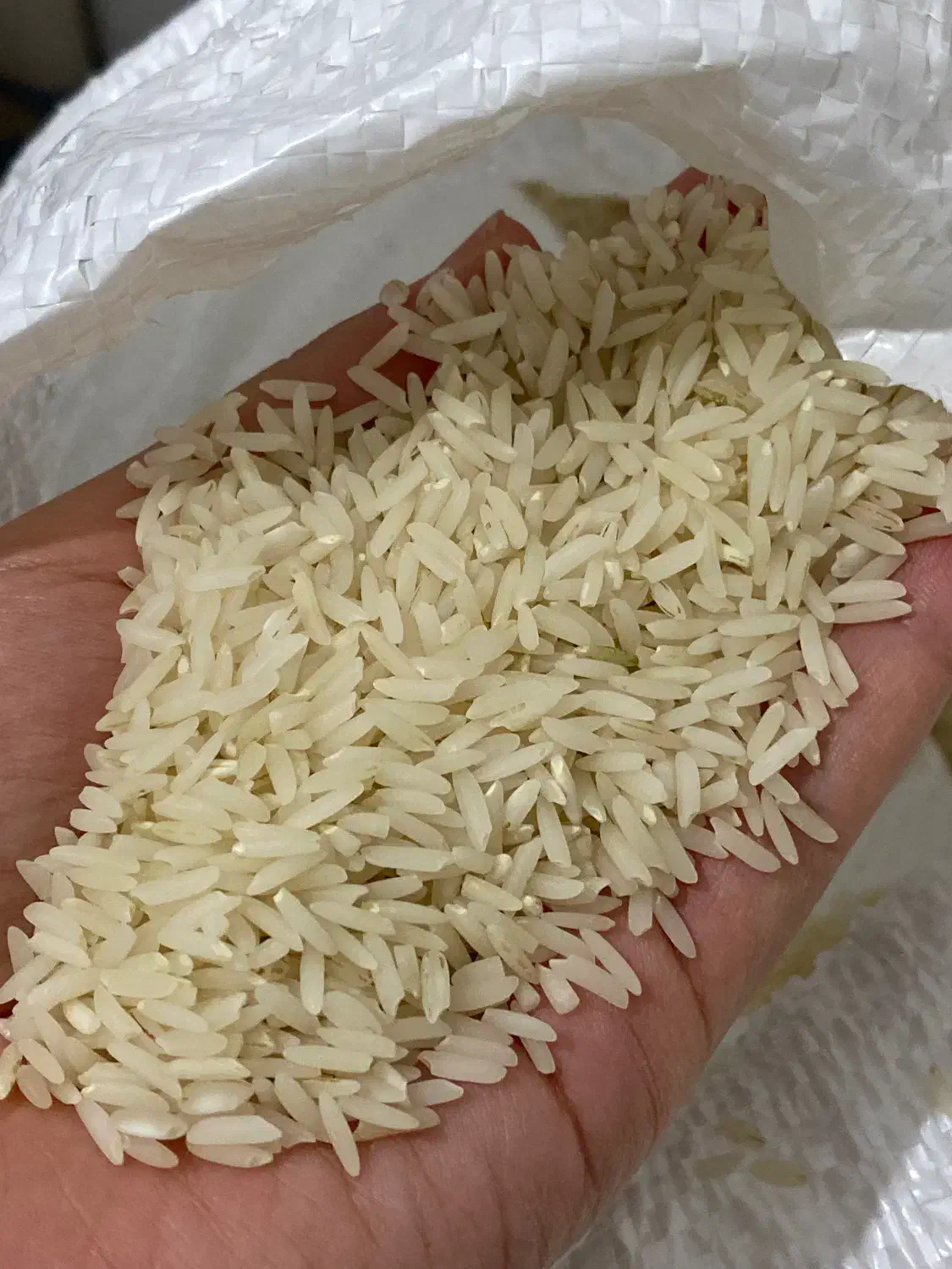 برنج هاشمی|خوردنی و آشامیدنی|پارس‌آباد, |دیوار