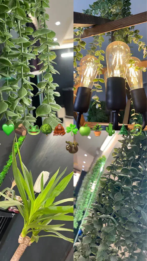 جذب پرسنل سالن زیبایی تیناز|استخدام درمانی، زیبایی، بهداشتی|فولادشهر, B4|دیوار