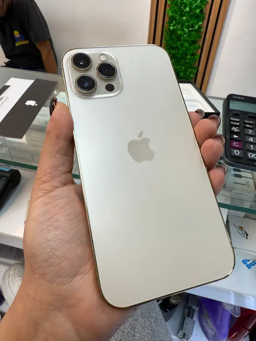 آیفون12پرومکس  iphone 12promax|موبایل|رشت, معلم|دیوار