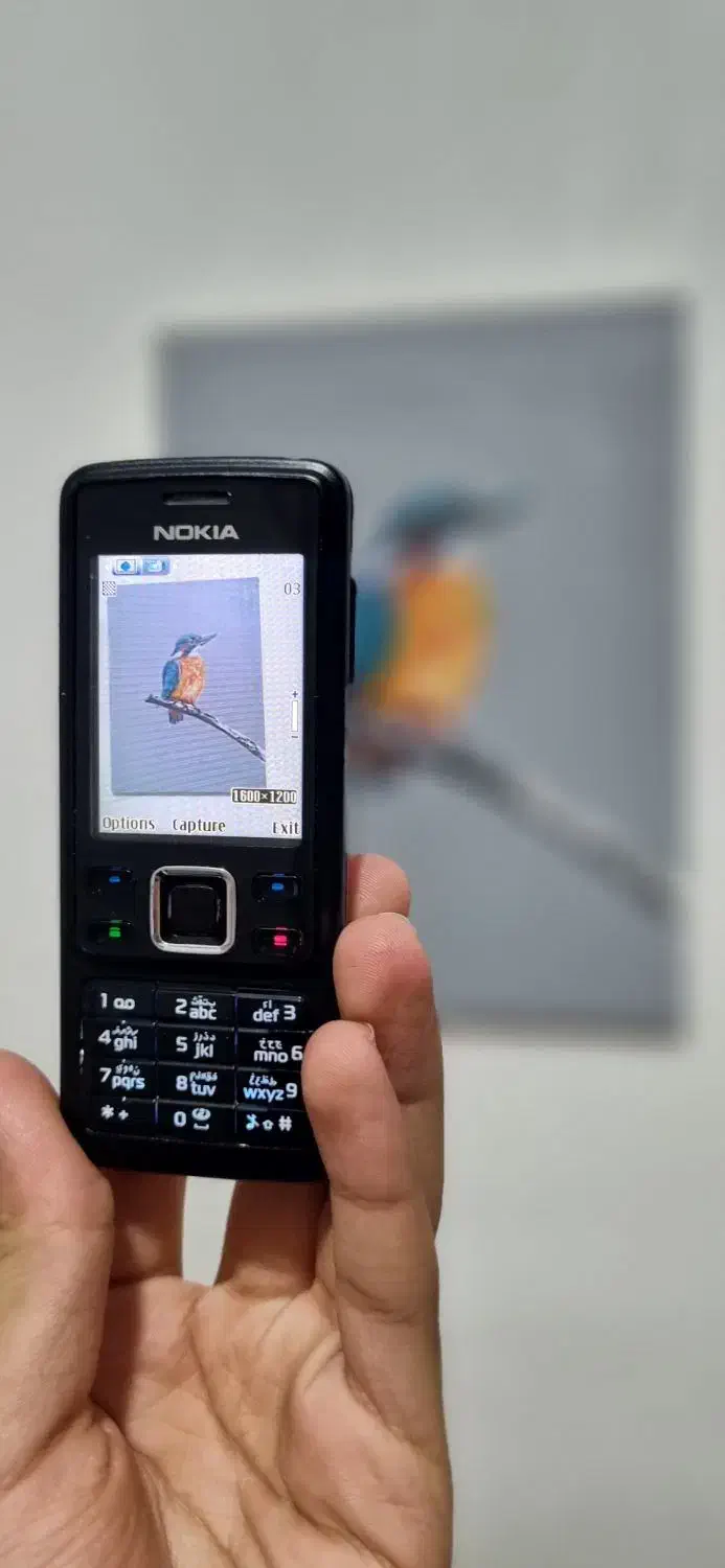 نوکیا ۶۳۰۰ استثنایی|موبایل|تهران, سلسبیل جنوبی|دیوار
