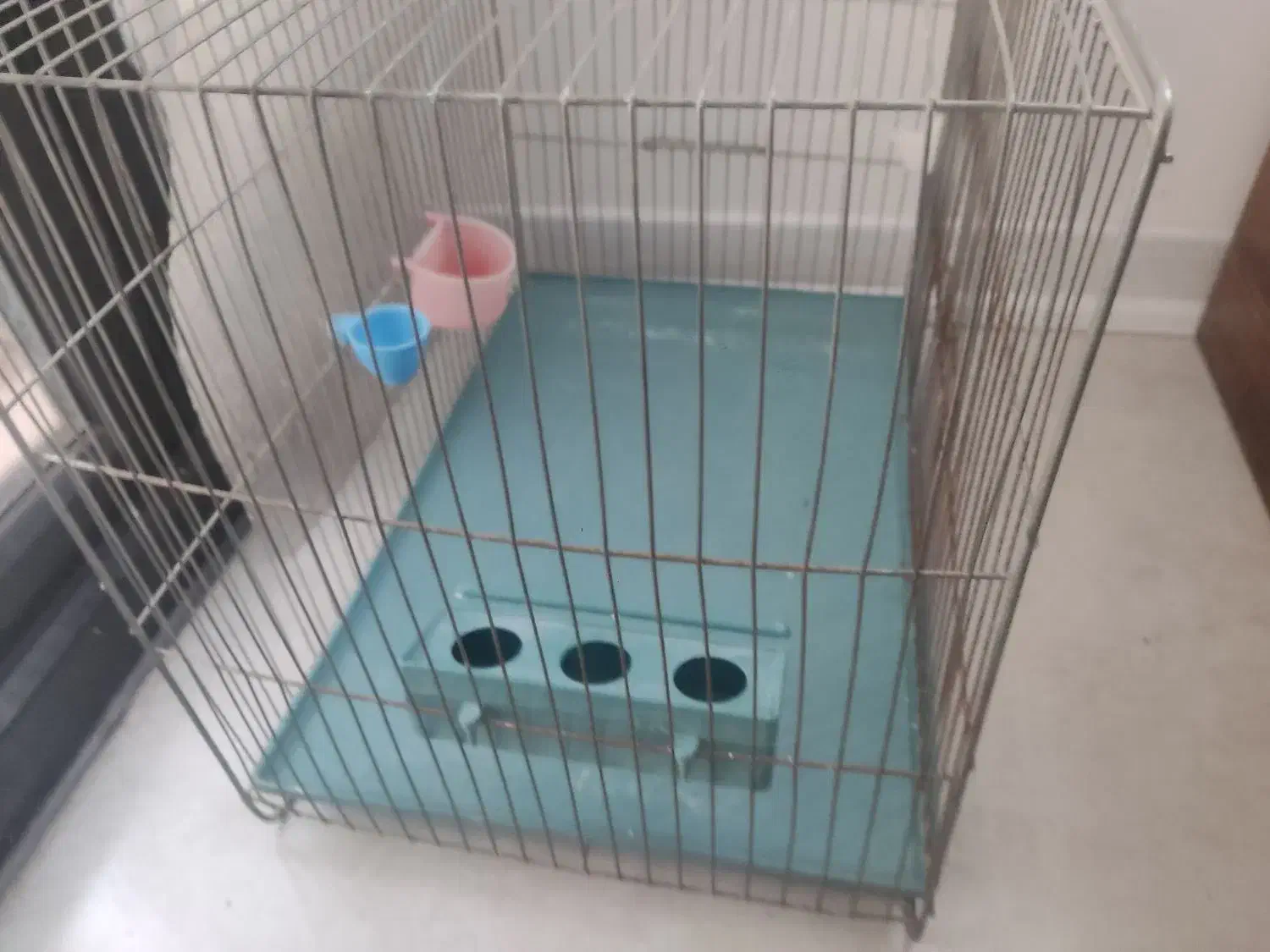 قفس عروس هلندی و غیره|لوازم جانبی حیوانات|ری, اقدسیه|دیوار