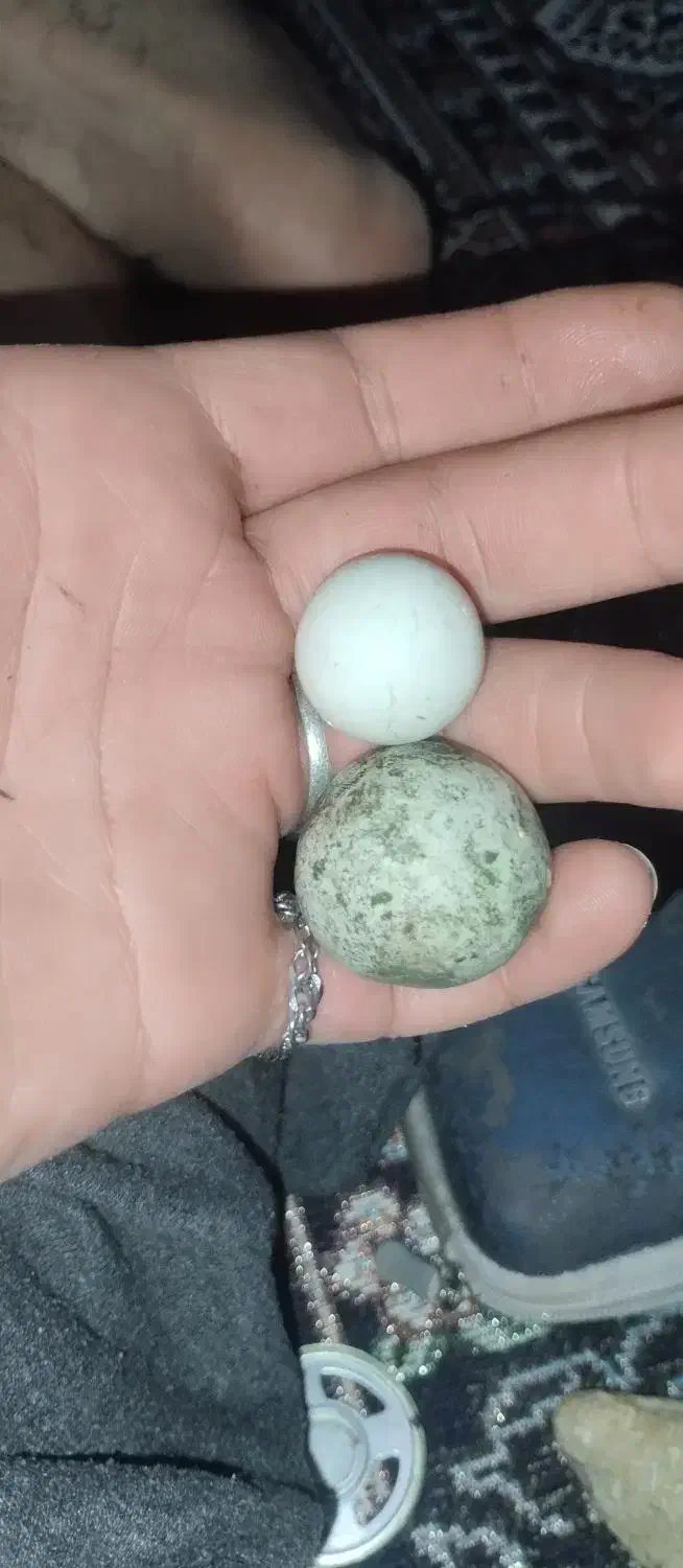 سنگ آسیاب|کلکسیون اشیاء عتیقه|کوهدشت, |دیوار