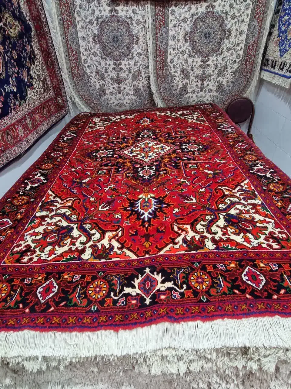 فرش های گوناگون شرایط مختلف|فرش|مراغه, |دیوار