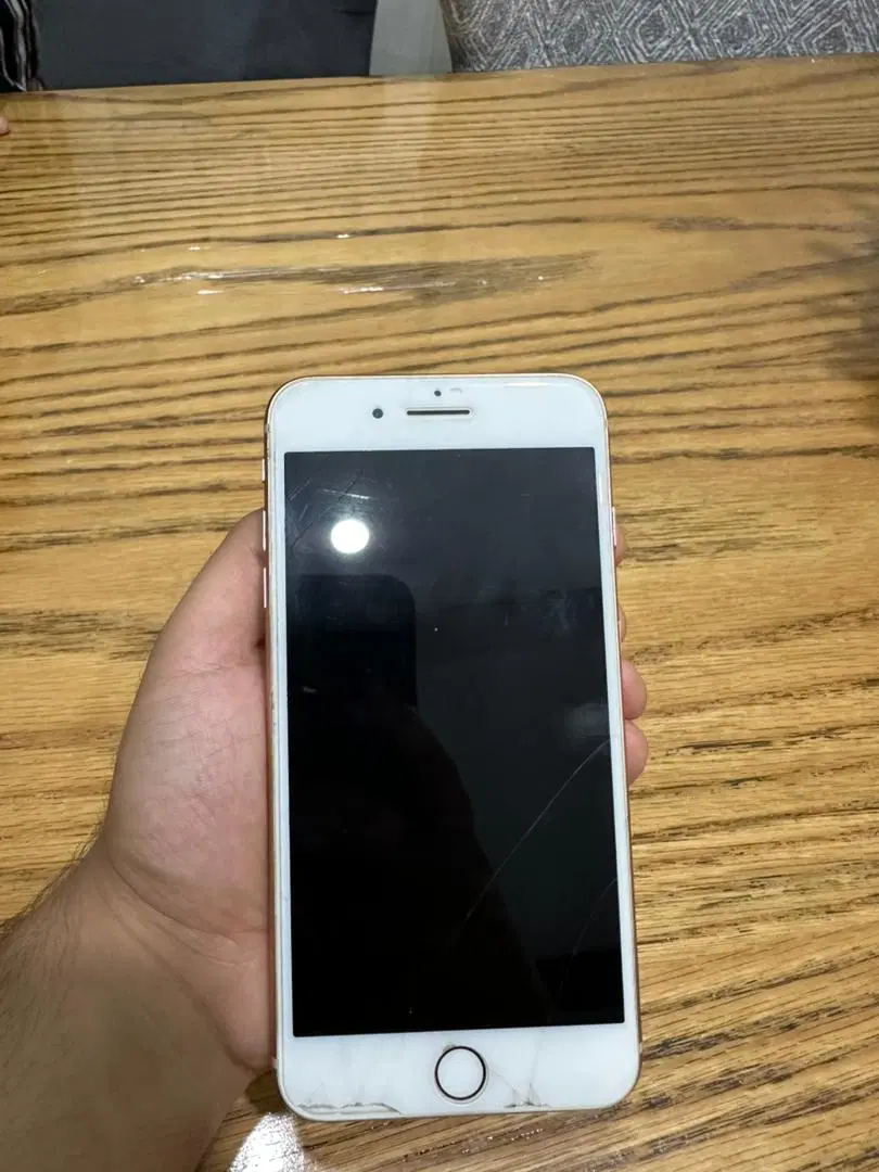 iPhone 8 plus|موبایل|بندر انزلی, باغ زمانی|دیوار