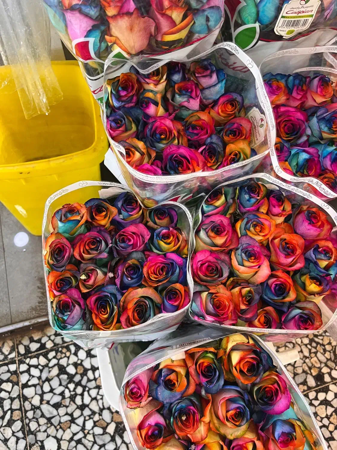 استخدام ادمین اینستاگرام/ورامین|استخدام رایانه و فناوری اطلاعات|ورامین, ورامین|دیوار