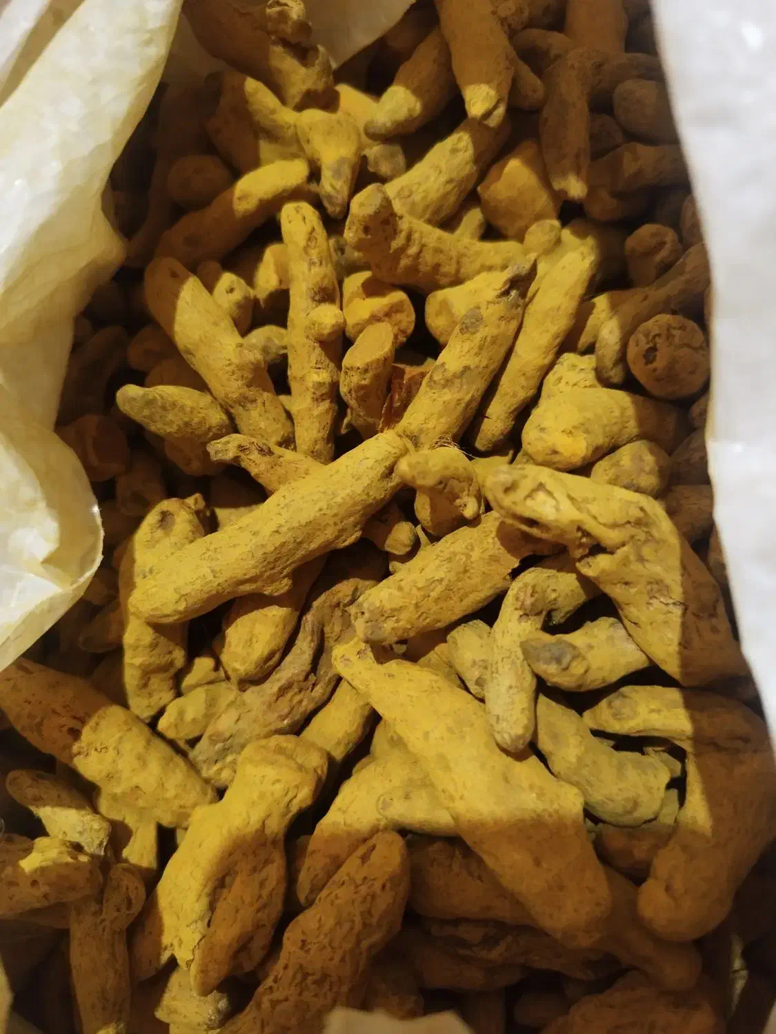 زردچوبه|خوردنی و آشامیدنی|مرودشت, بیست متری بیمارستان|دیوار