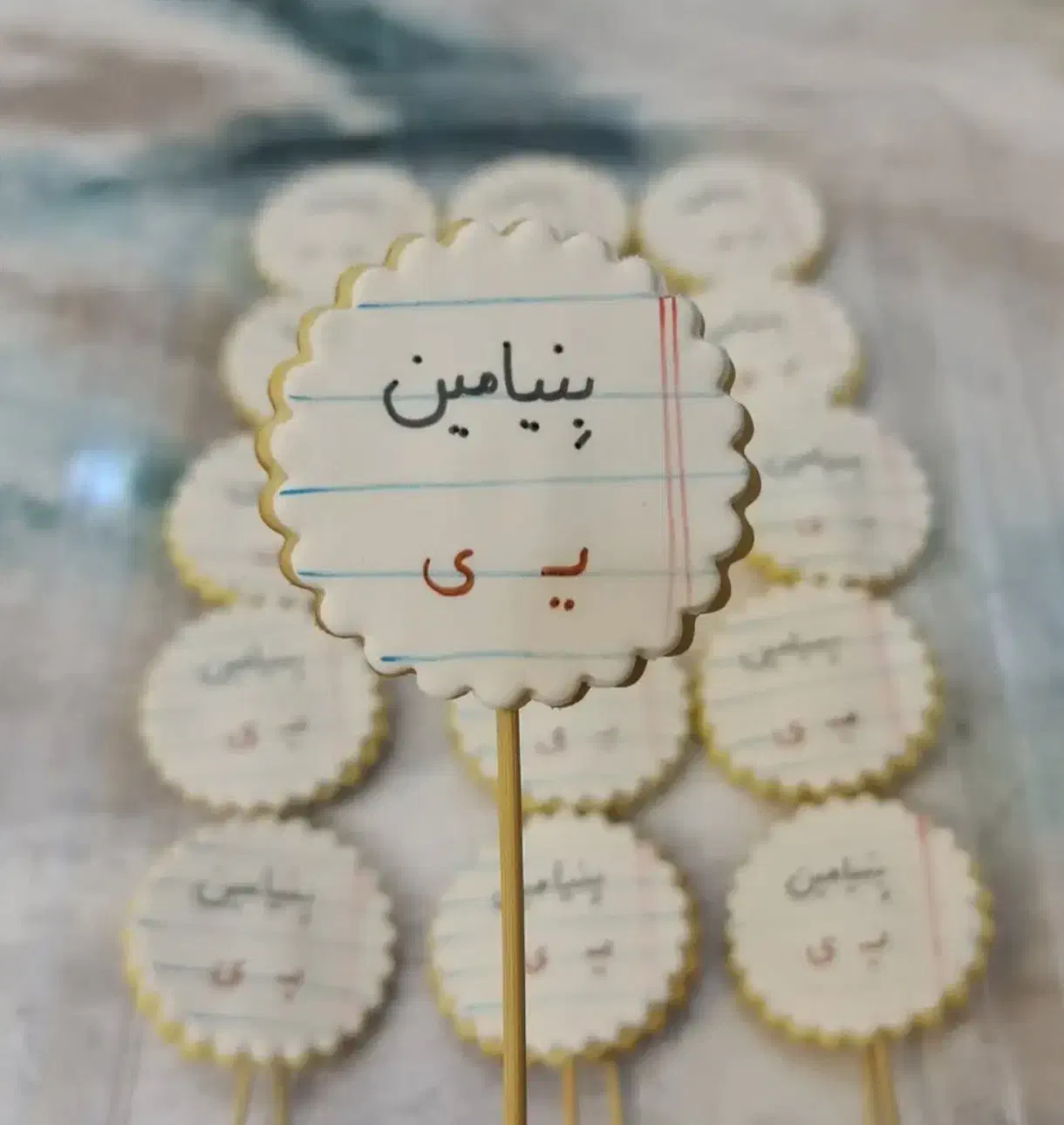 سفارش کوکی حروف و الفبا|خوردنی و آشامیدنی|شیراز, آبیاری|دیوار