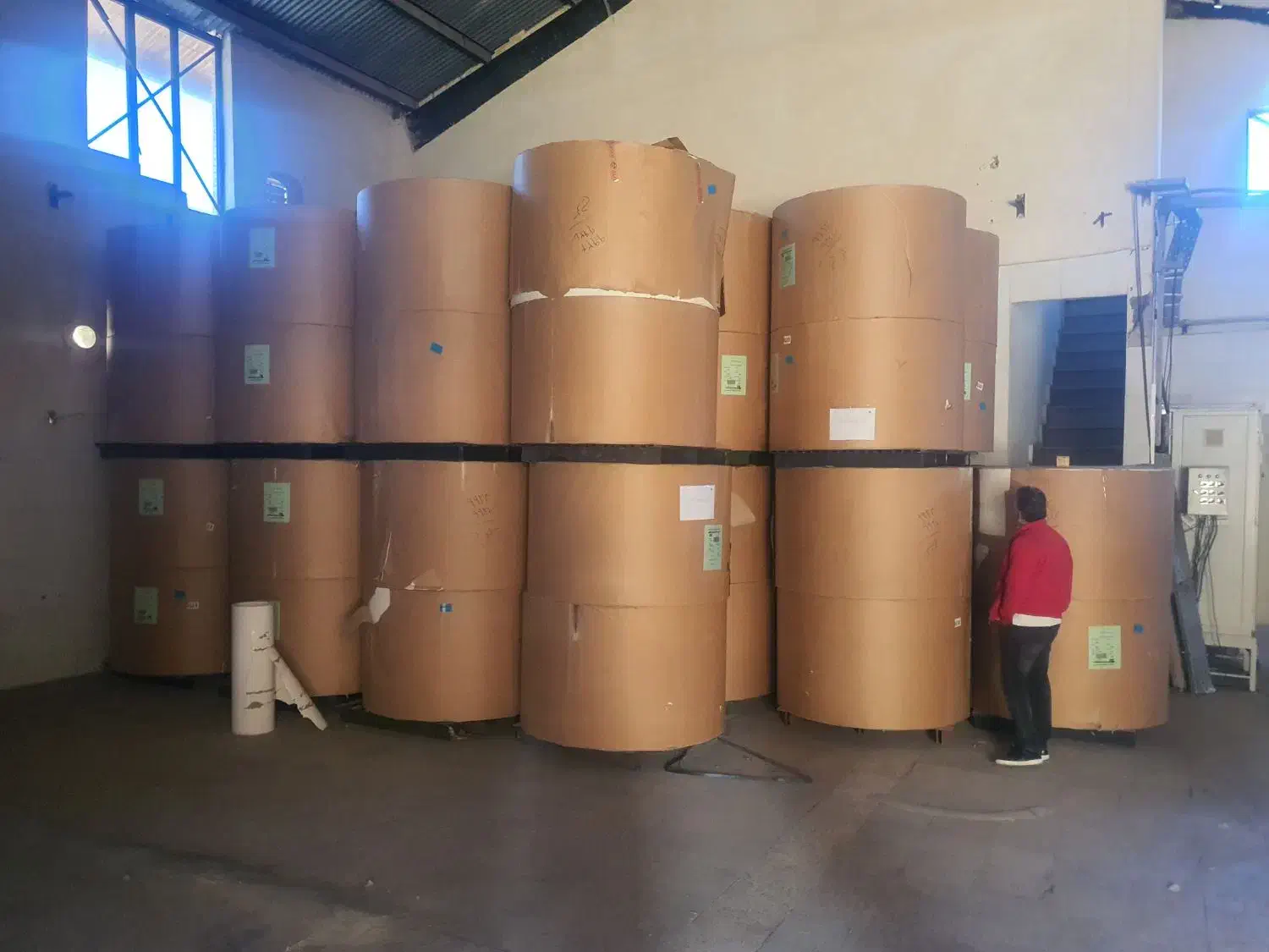 رول مقوا ایندربرد نینگبو ۳۵۰ گرم|عمدهفروشی|تهران, ایرانشهر|دیوار