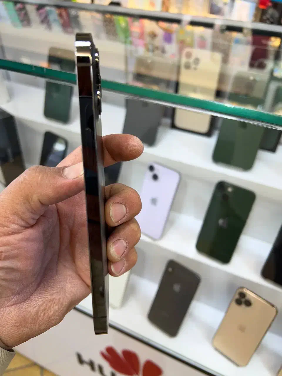 12promax درحدآکبند|موبایل|قم, چهل درخت‎|دیوار