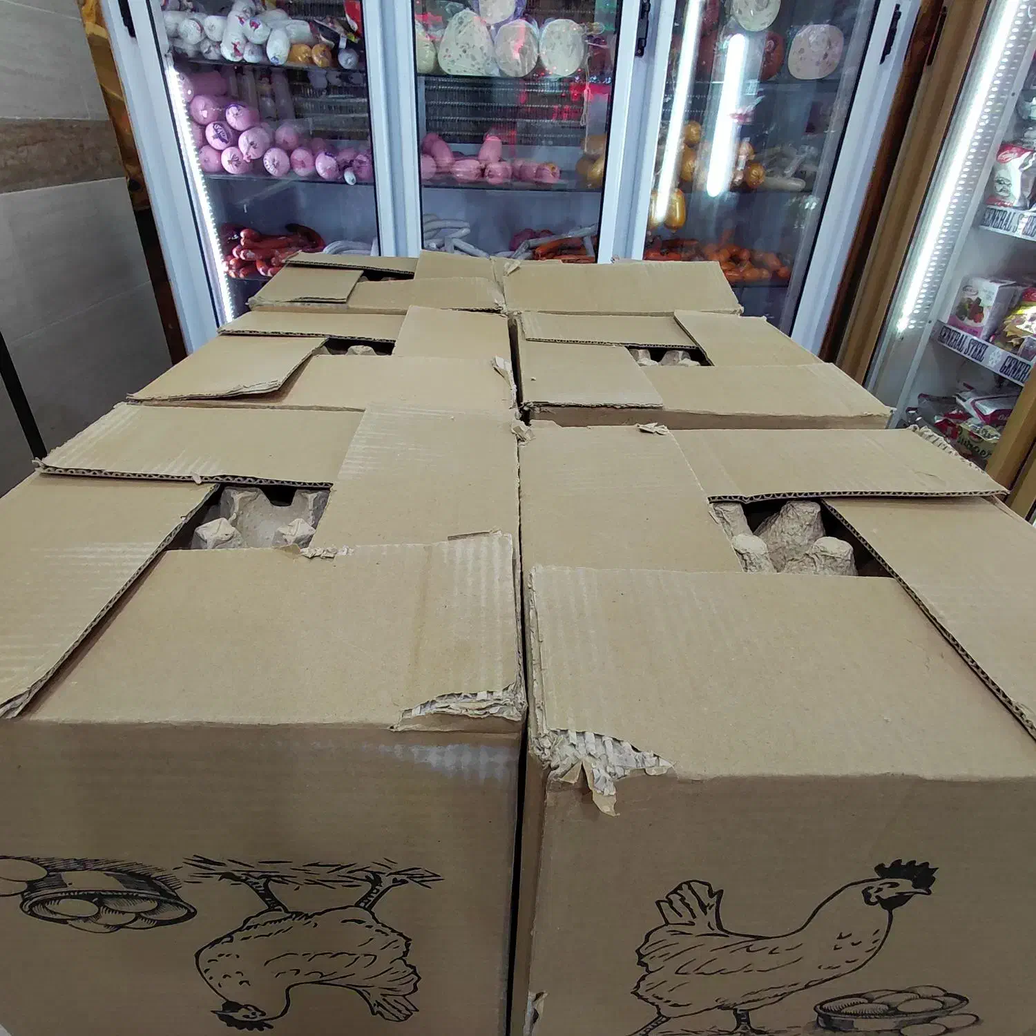 تخم مرغ / کلی / جزئی|خوردنی و آشامیدنی|تربت جام, شاد|دیوار