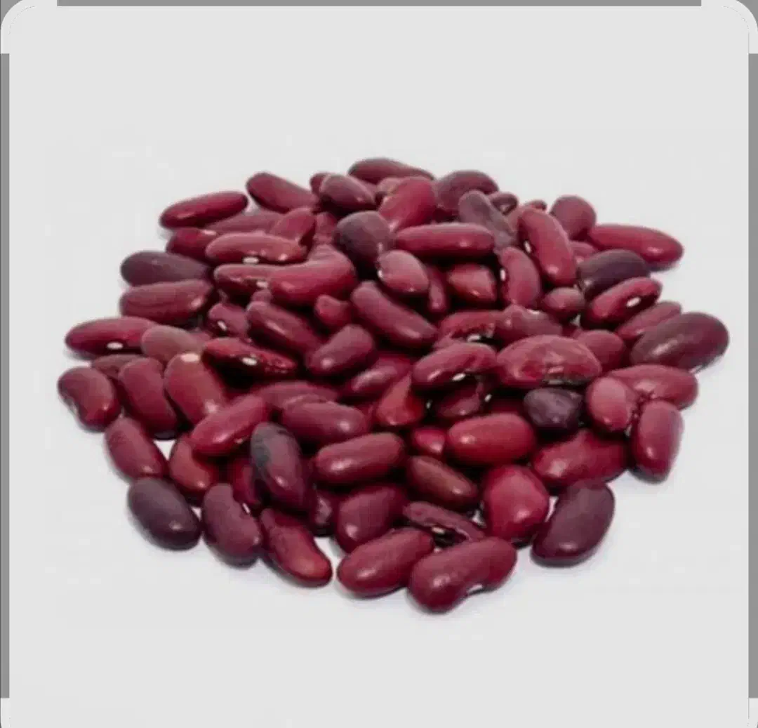 لوبیا|خوردنی و آشامیدنی|سبزوار, مدرس|دیوار