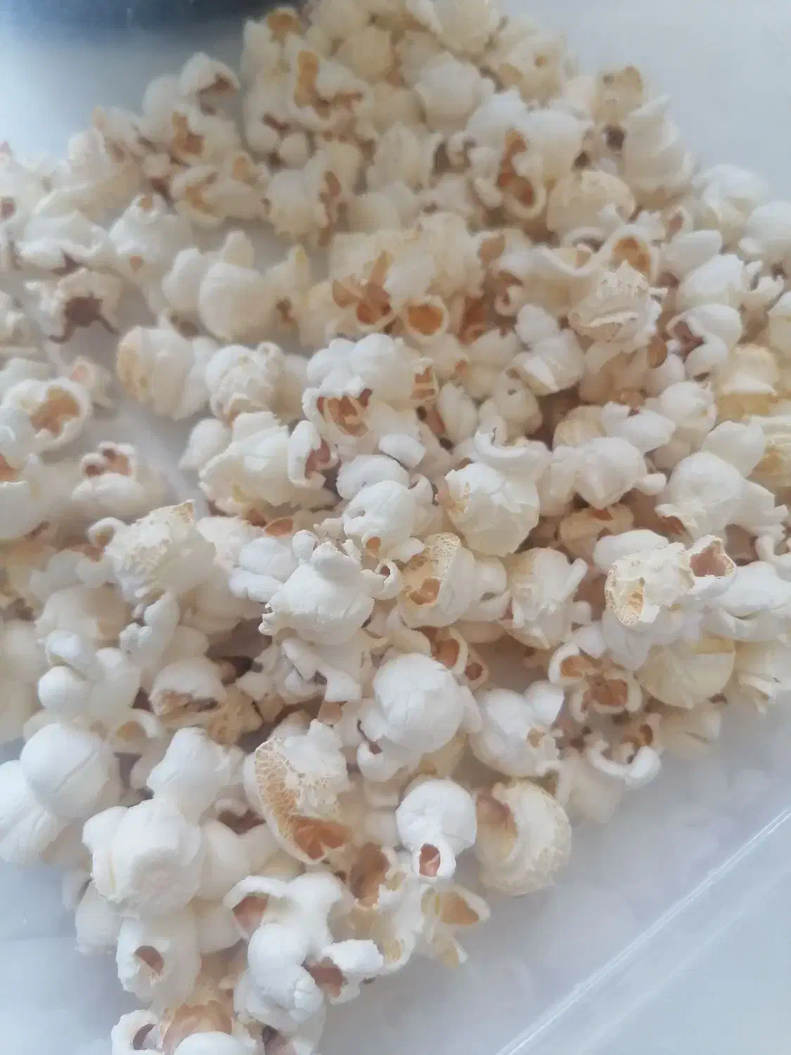 پفیلا ساز مارک بیسمارک آلمان|سایر لوازم برقی|قائن, |دیوار