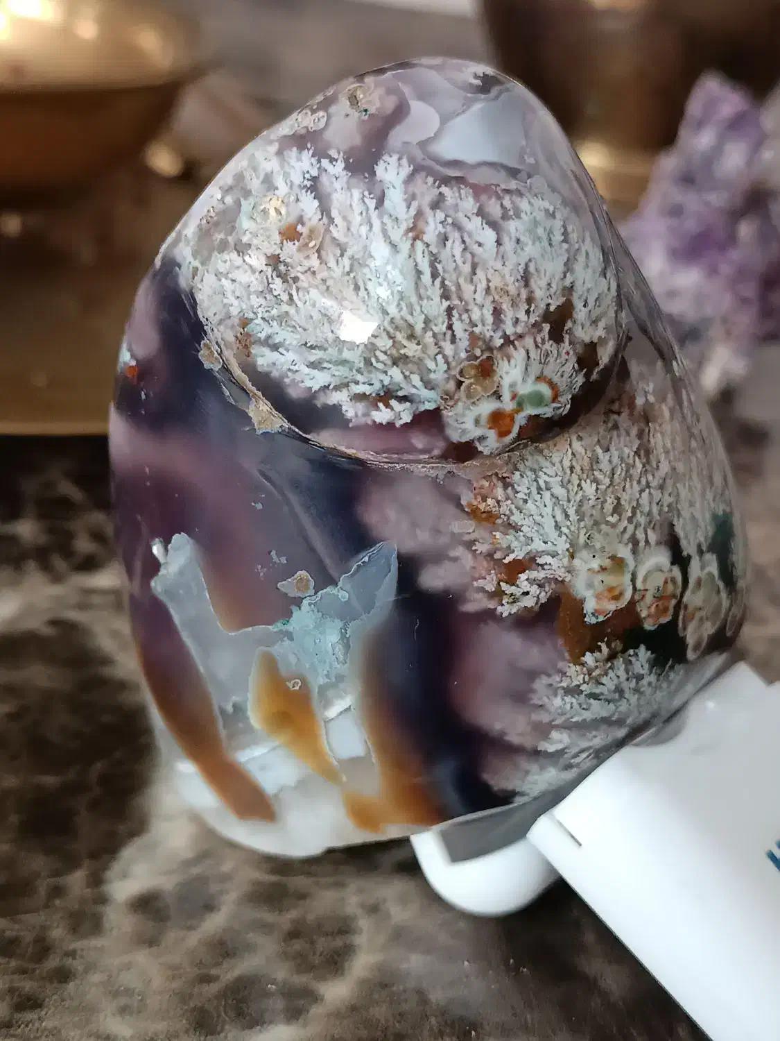 شجر کلکسیونی فردوس خاص ترین شجر ایران|کلکسیون اشیاء عتیقه|خرمآباد, |دیوار