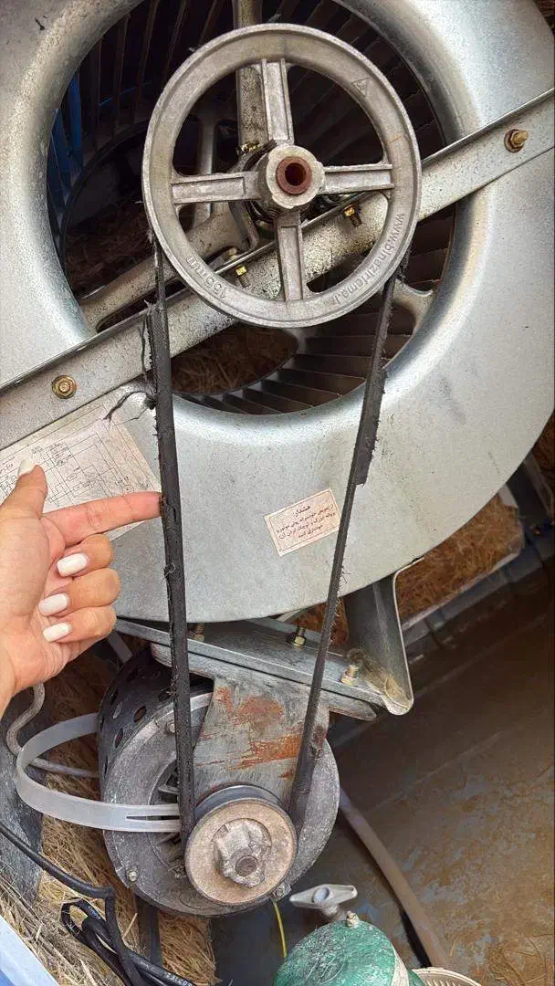 تاسیسات و برق|خدمات پیشه و مهارت|شاهین‌شهر, فردوسی|دیوار