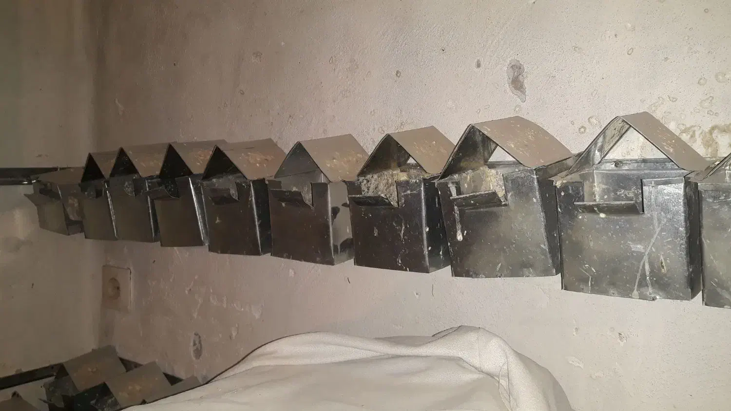 لونه فنچ|لوازم جانبی حیوانات|نیشابور, کوی حسینی|دیوار