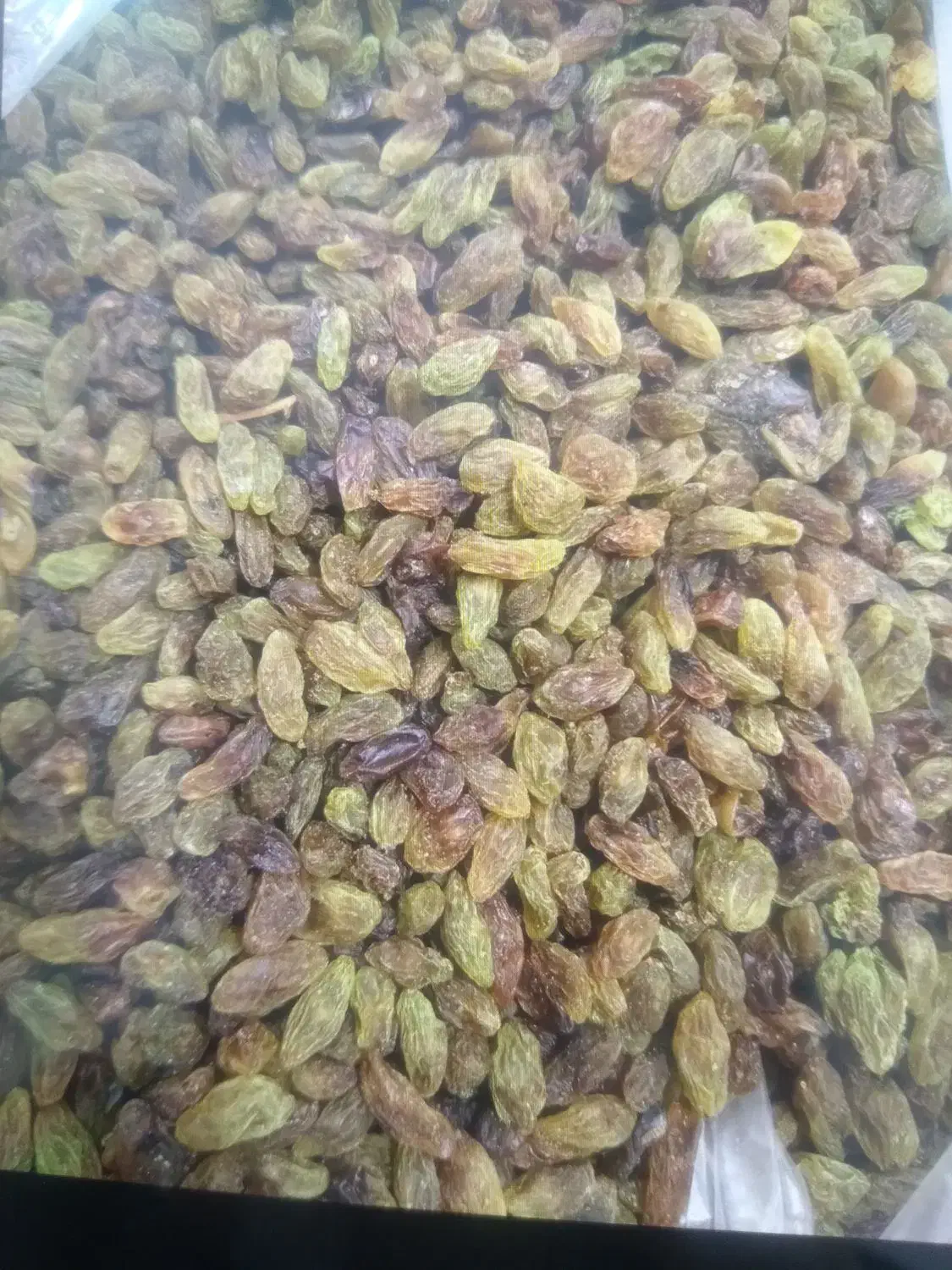 کشمش سبز|خوردنی و آشامیدنی|قم, هفت تیر|دیوار