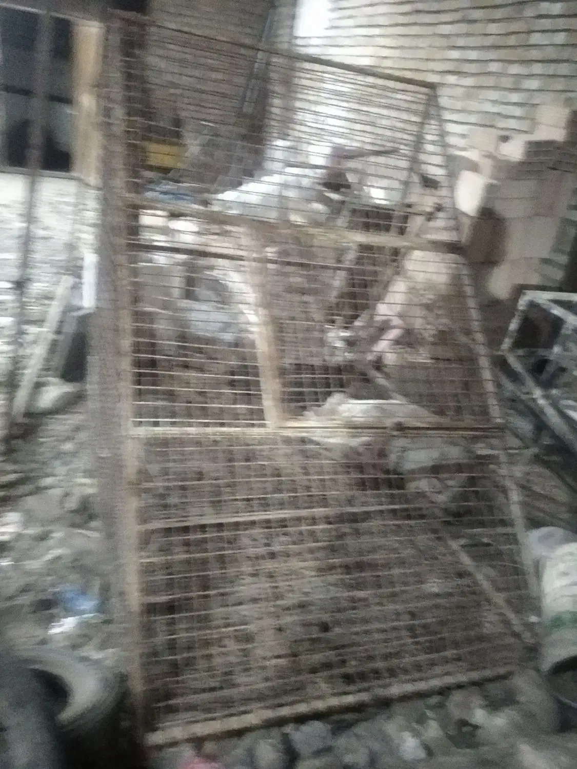 درب 3لت با چهار  چوب، پنجره آلومینیومی، قفس،|مصالح و تجهیزات ساختمان|سبزوار, جهاد کشاورزی|دیوار