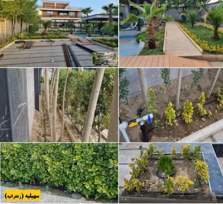 نصب و اجرای آبیاری قطره ای و بارانی|خدمات باغبانی و درختکاری|کرج, شهرک بنفشه|دیوار