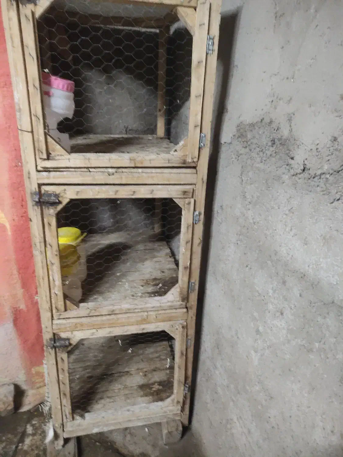 قفس پرنده|لوازم جانبی حیوانات|نیشابور, مازول|دیوار