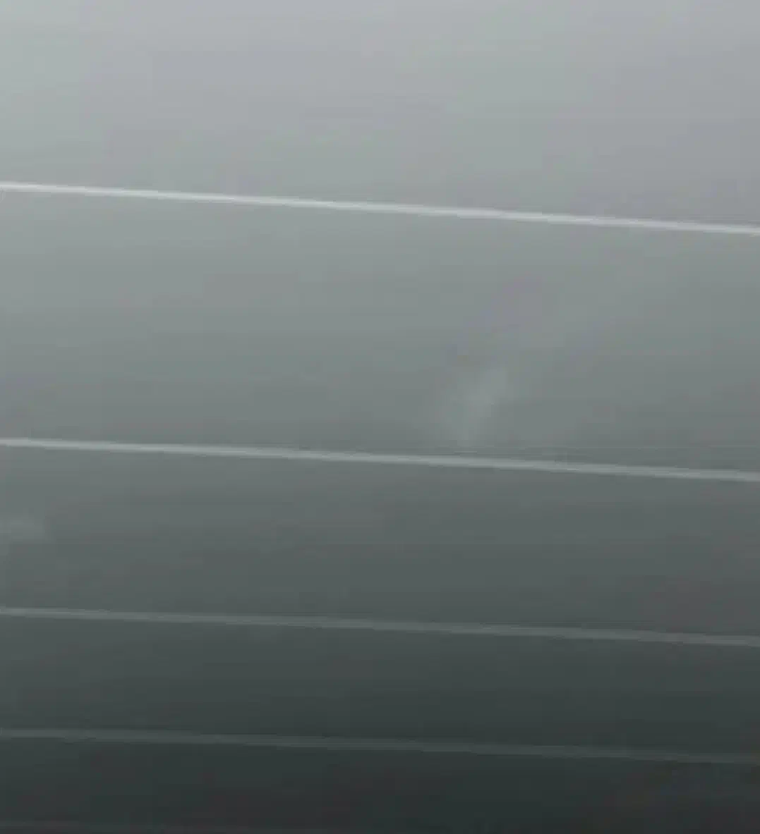 فرش فوری کاذب|فرش|رودان, |دیوار