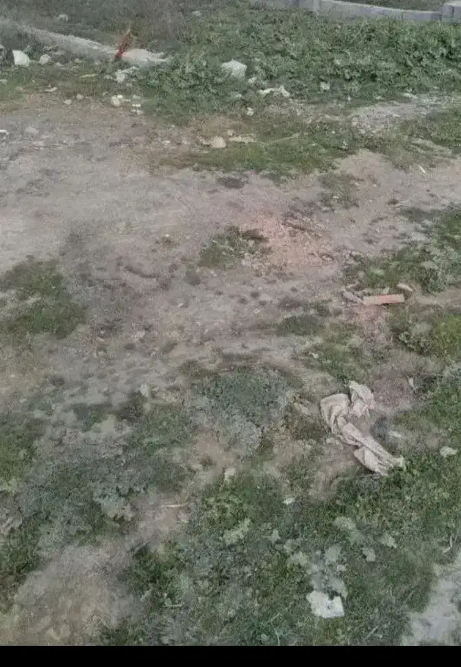 فروش زمین۵۰۰متری گرگان،فیض آباد|فروش زمین و ملک کلنگی|گرگان, |دیوار