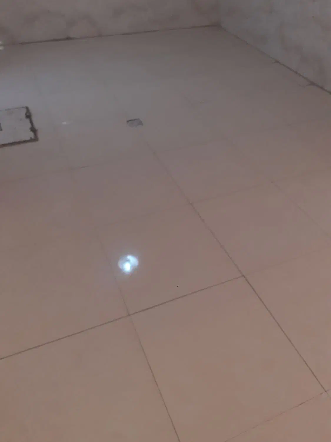 نظافت ساختمان|خدمات نظافت|اردبیل, |دیوار