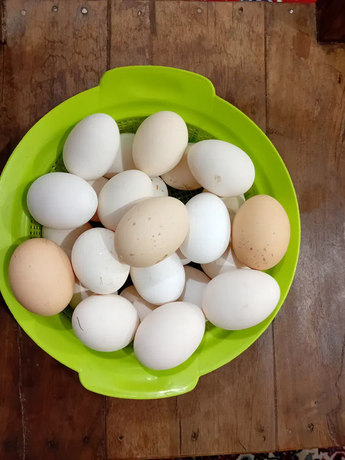 تخم مرغ بومی|خوردنی و آشامیدنی|کاشان, دشت چال|دیوار