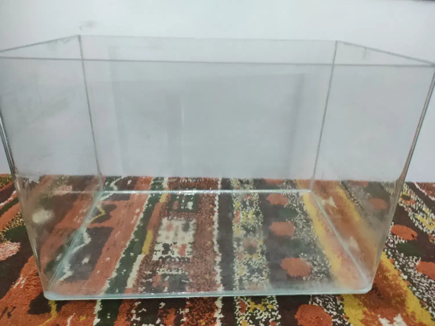 آکواریوم|ماهی|امیدیه, |دیوار