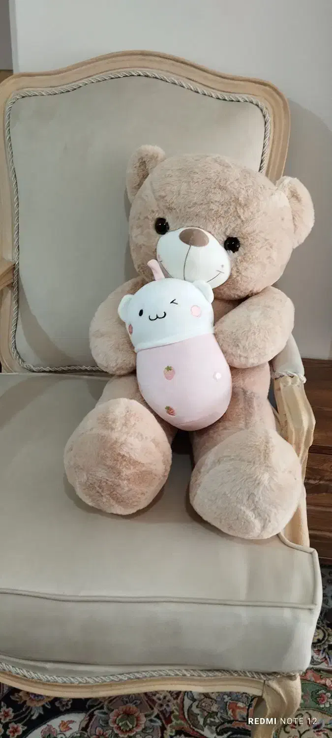 عروسک خرس|اسباب‌‌بازی|قم, نیروگاه|دیوار