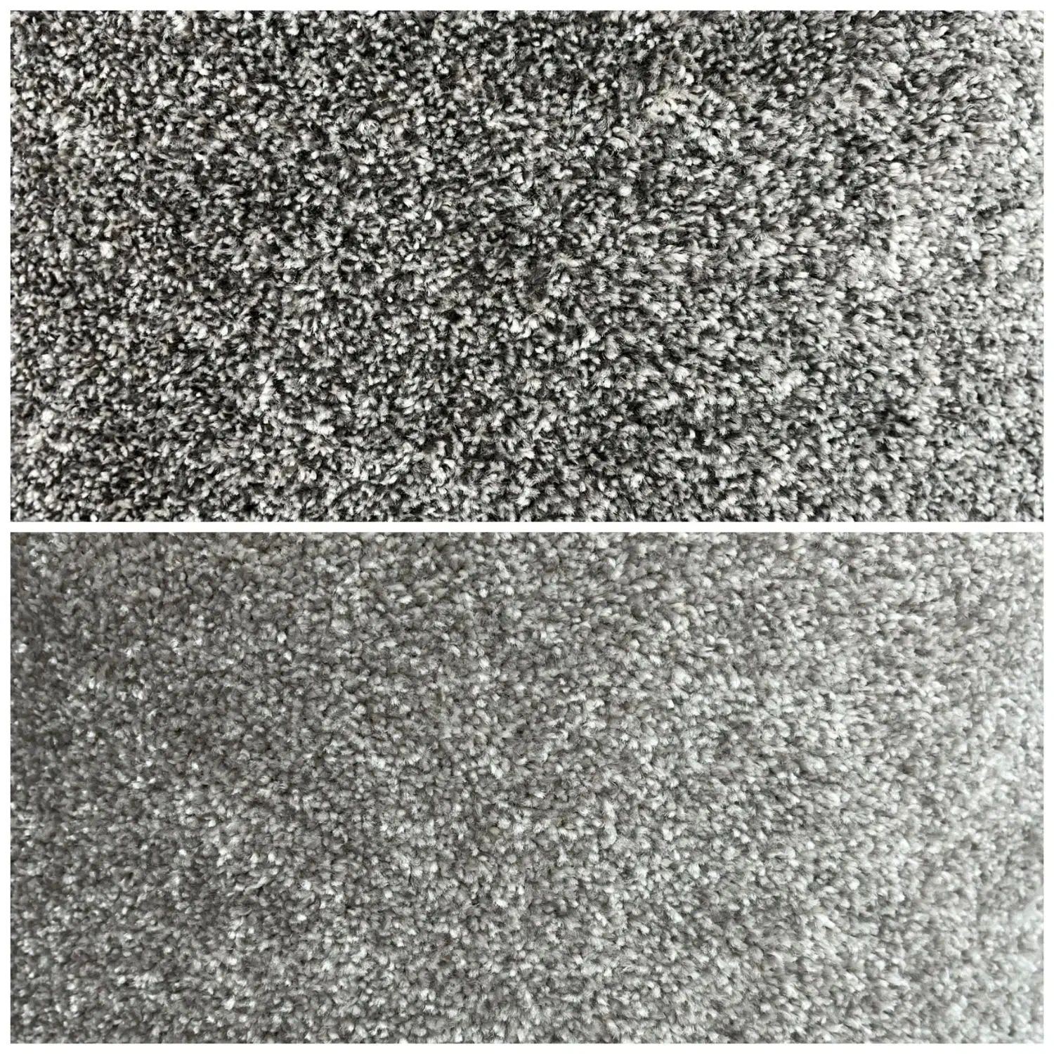 موکت پرزبلند|موکت|دزفول, |دیوار