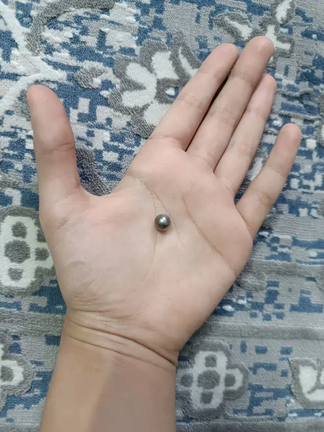 گل گل یاپوچ|اسباب‌‌بازی|قم, باغ کرباسی|دیوار