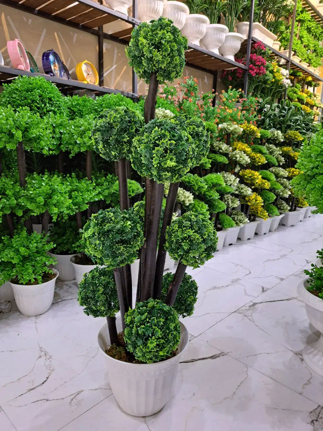 درختچه جاودان|گل مصنوعی|آفتاب, |دیوار