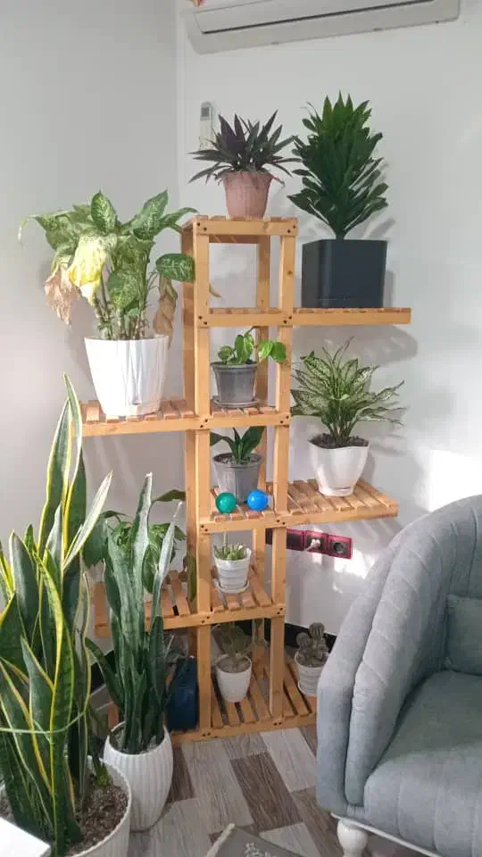 استند گل|صنایع دستی و سایر لوازم تزئینی|خرمآباد (تنکابن), |دیوار