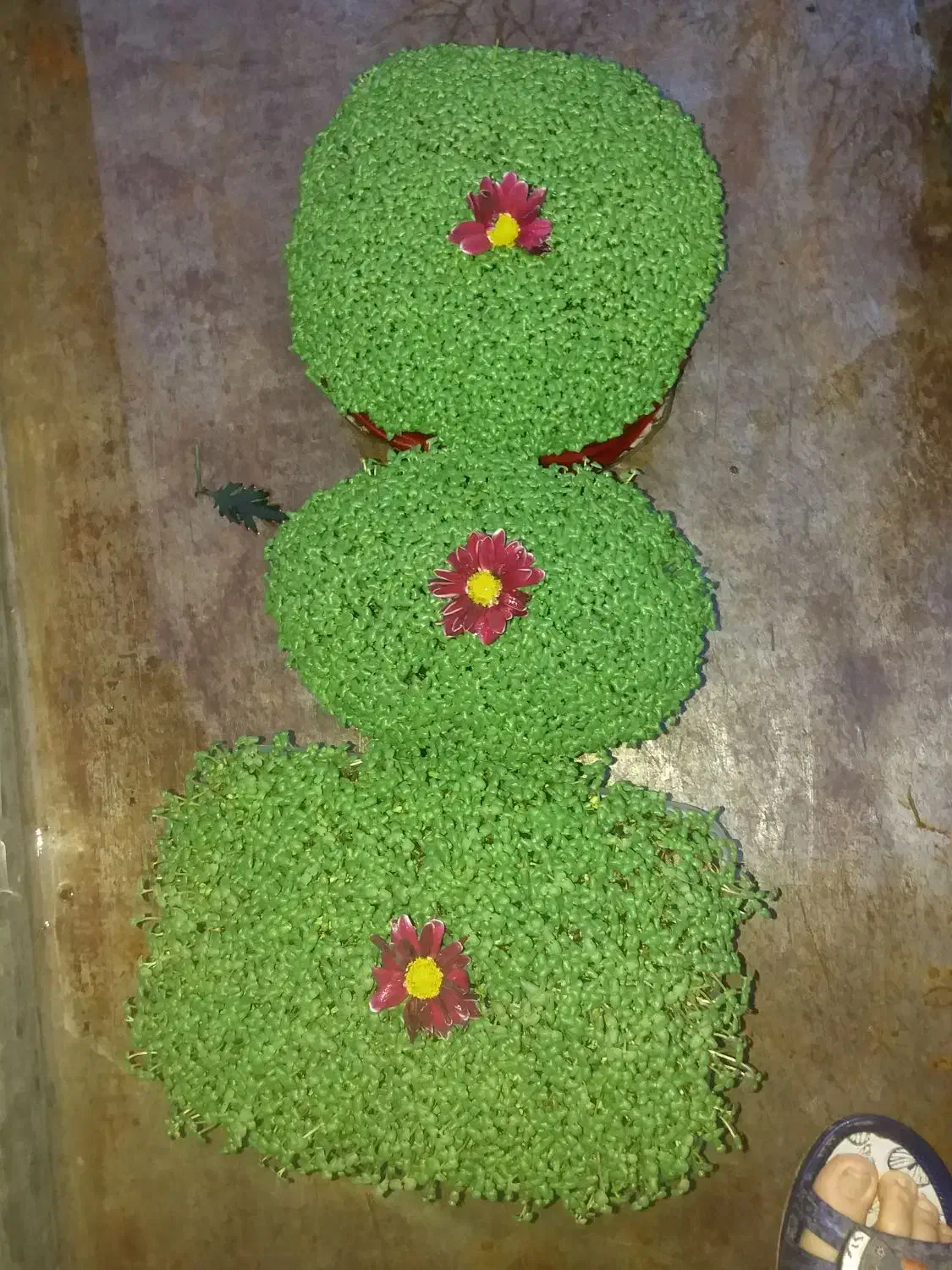 سبزه|خدمات پذیرایی، مراسم|بروجرد, |دیوار