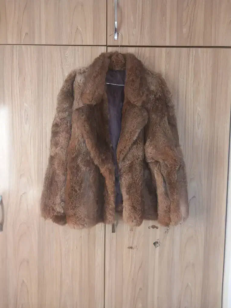 کاپشن پوست اصل|لباس|رشت, حمیدیان|دیوار