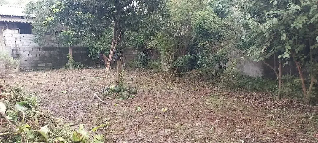 زمین مسکونی صددرصد|فروش زمین و ملک کلنگی|دابودشت, |دیوار