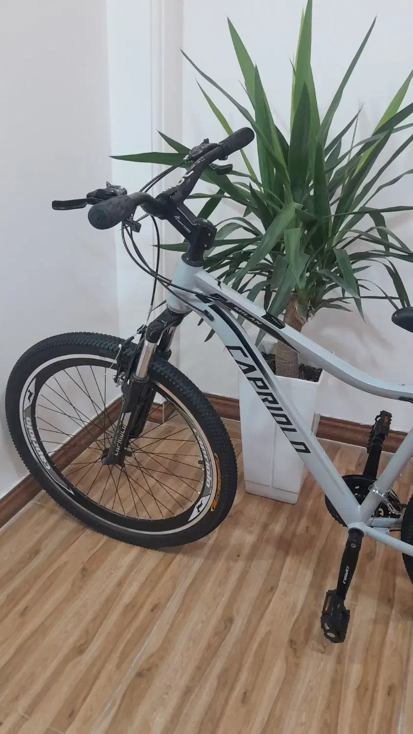 دوچرخه کاپریولو سایز ۲۷/۵ برای مشتریان موجود شد|دوچرخه، اسکیت، اسکوتر|بابل, |دیوار