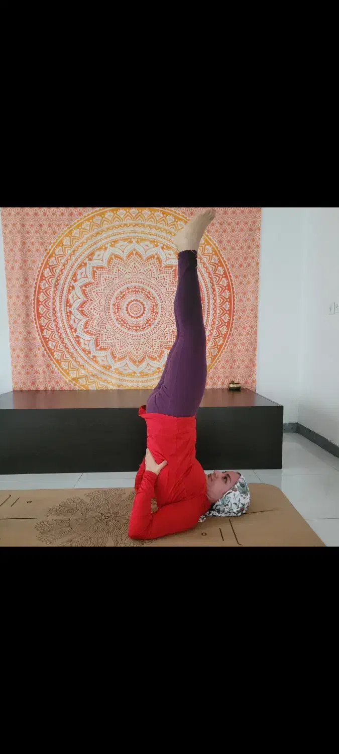 یوگا مدیتیشن بانوان|خدمات آموزشی|اصفهان, جلفا|دیوار