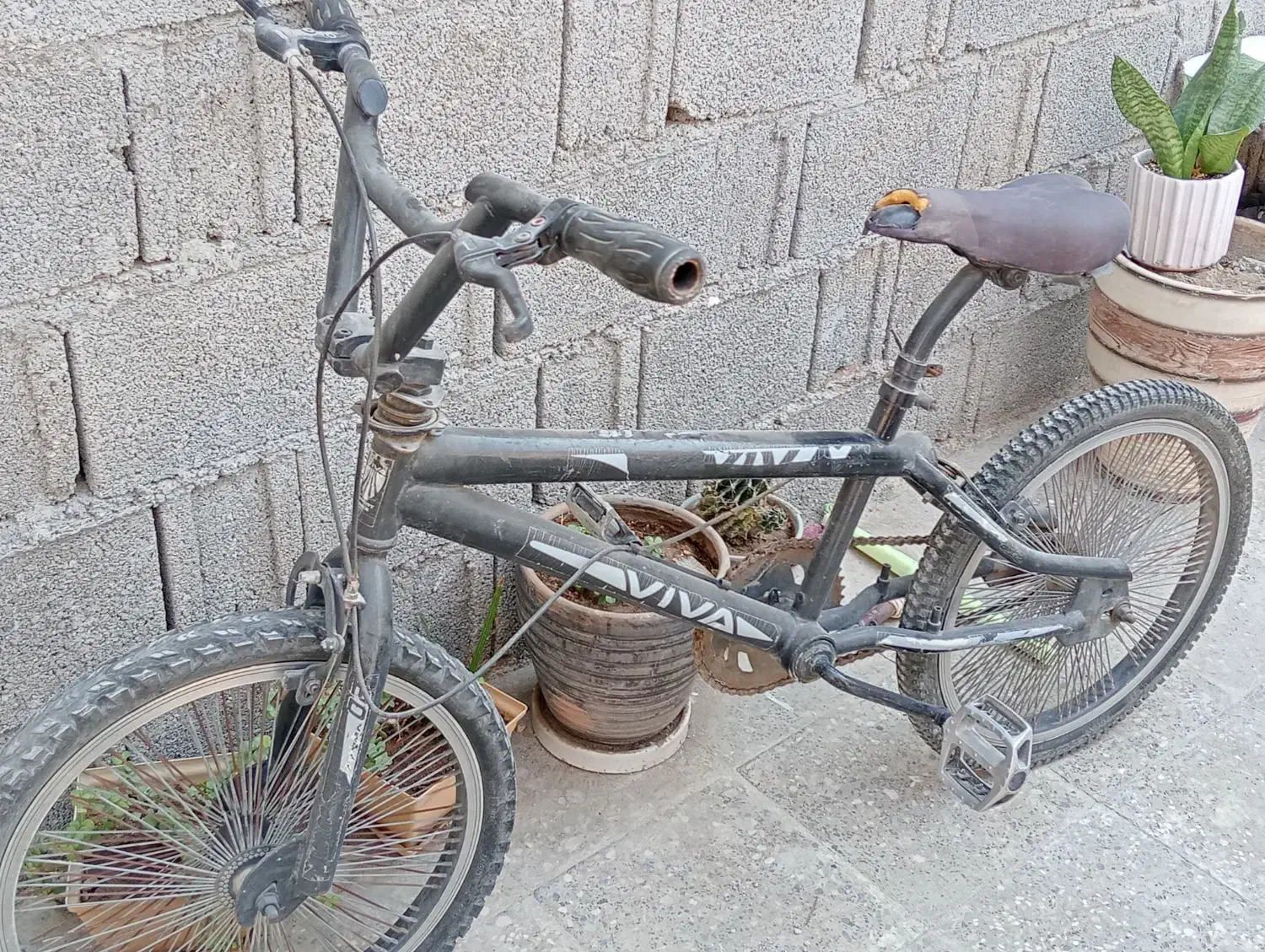 دچرخه سالم|دوچرخه، اسکیت، اسکوتر|خورموج, |دیوار