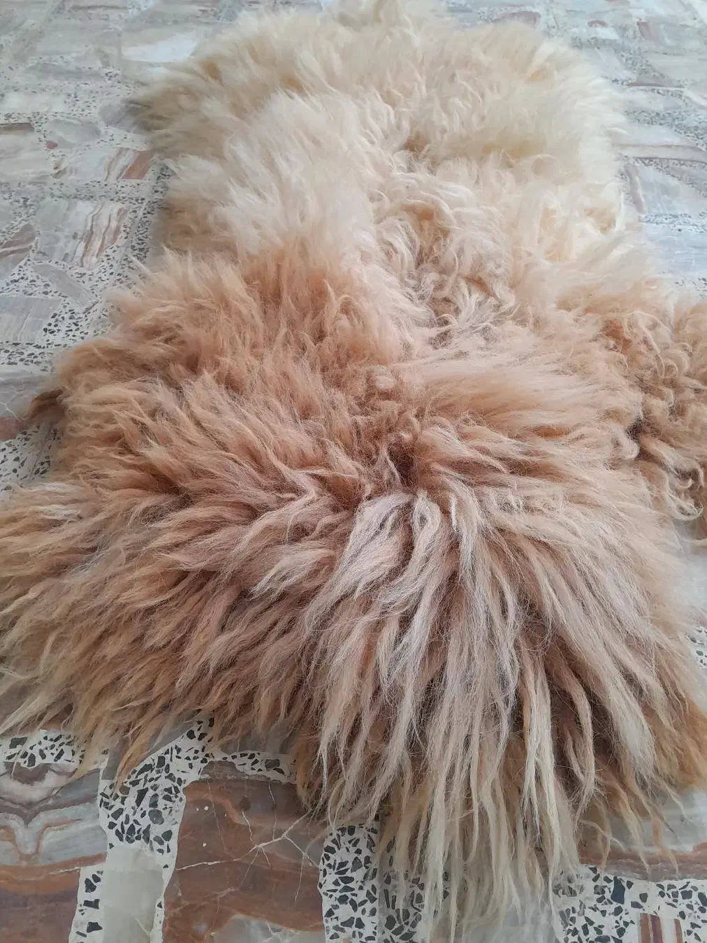 پشم گوسفند بسیار زیبا|صنایع دستی و سایر لوازم تزئینی|قائمشهر, |دیوار