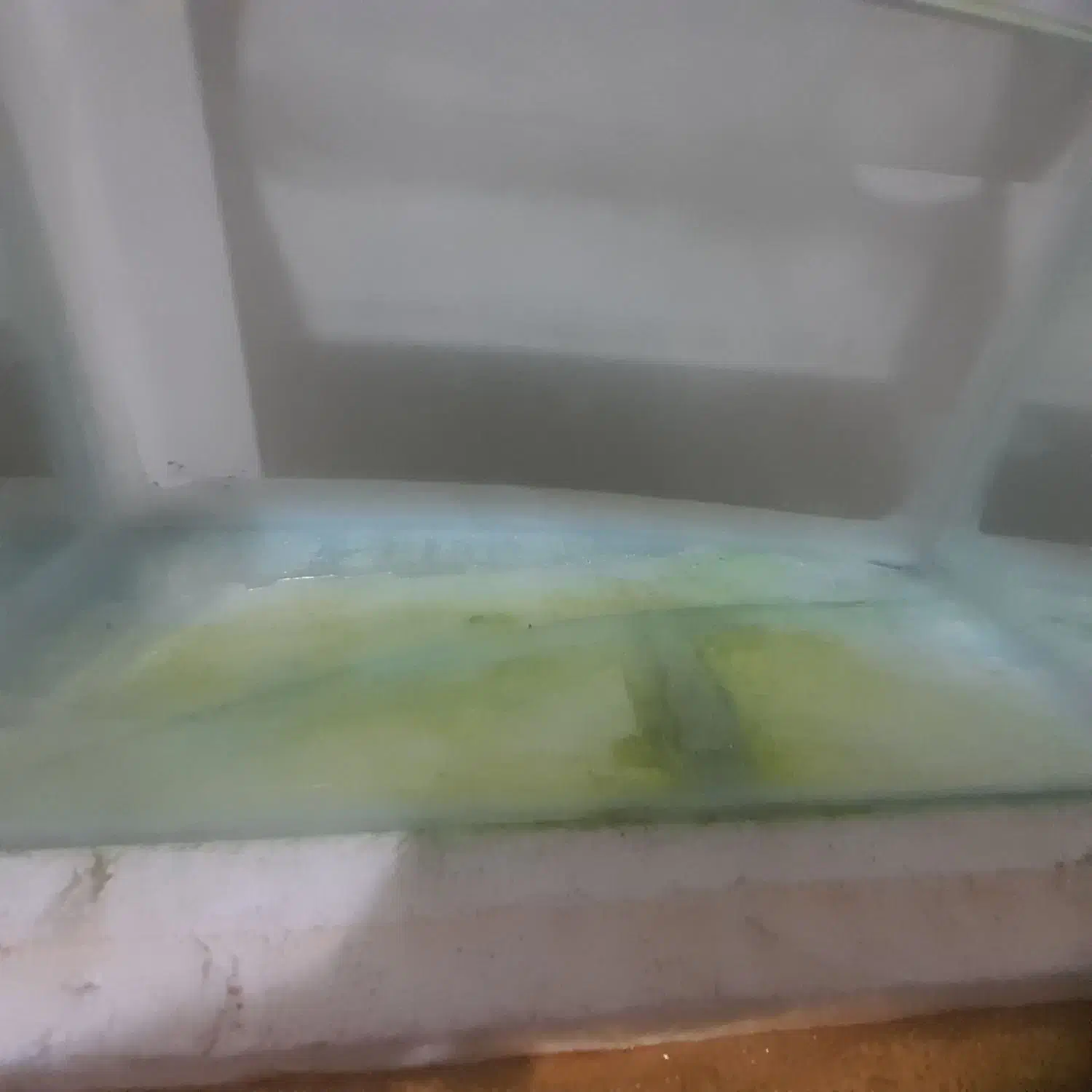 ۲عدد اکواریوم دونه ای ۲۵۰|ماهی|پاکدشت, پاکدشت (مامازند)|دیوار