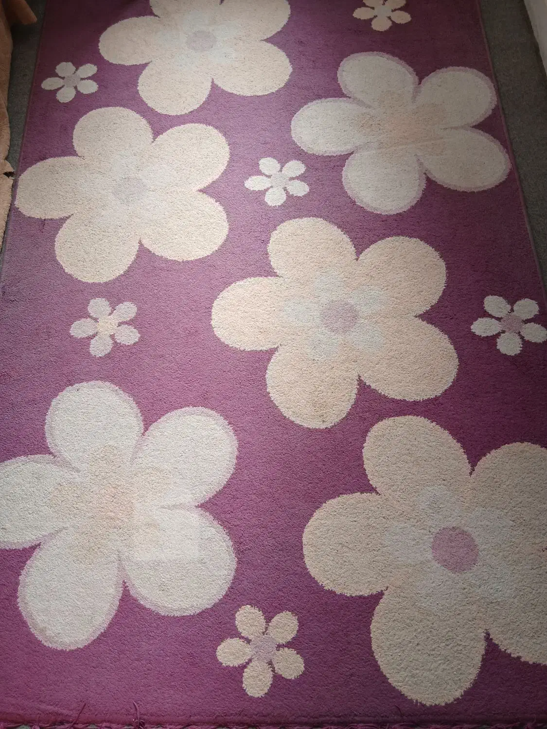 گلیم|گلیم، جاجیم، گبه|یزد, |دیوار