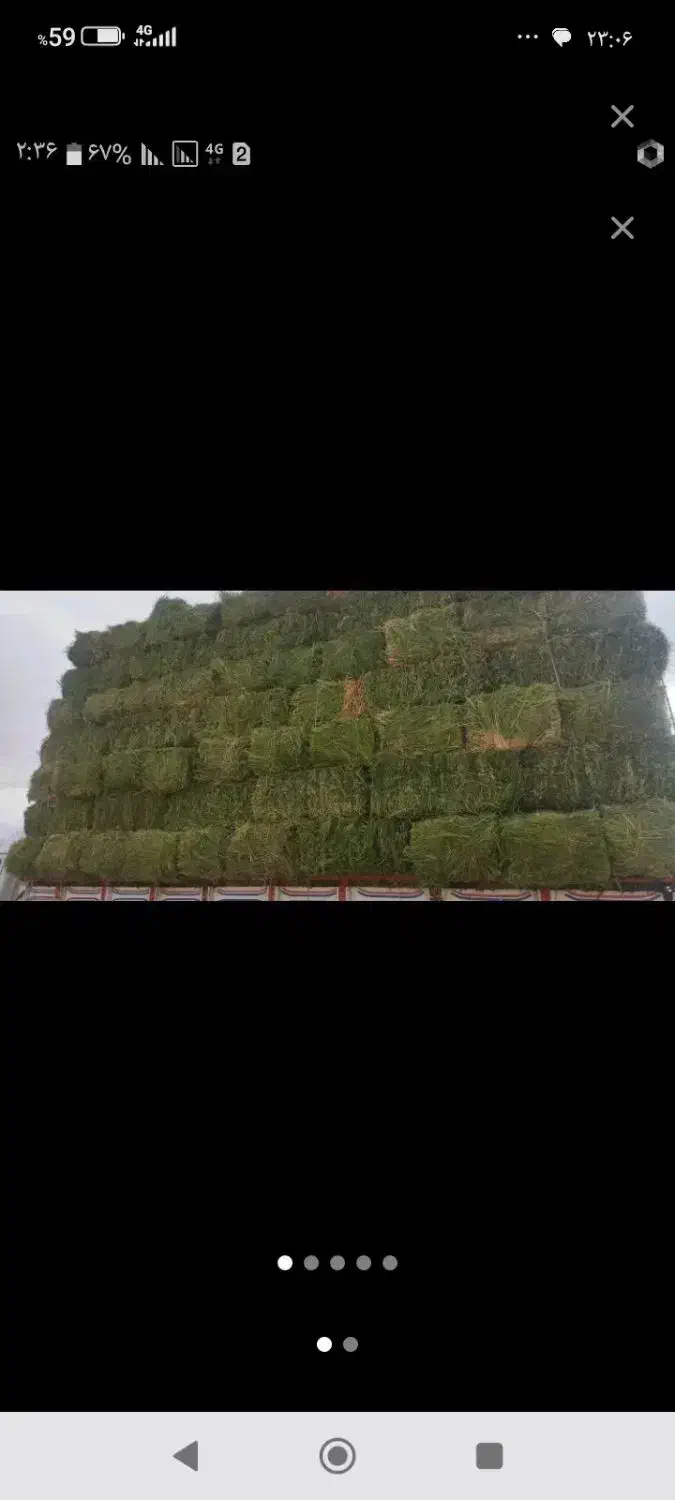 پرس یونجه درجه یک خشک پر گل|خدمات باغبانی و درختکاری|بروجرد, |دیوار