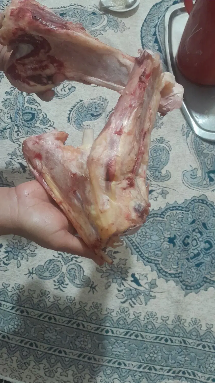 قلم گاومیش|خوردنی و آشامیدنی|حمیدیه, |دیوار