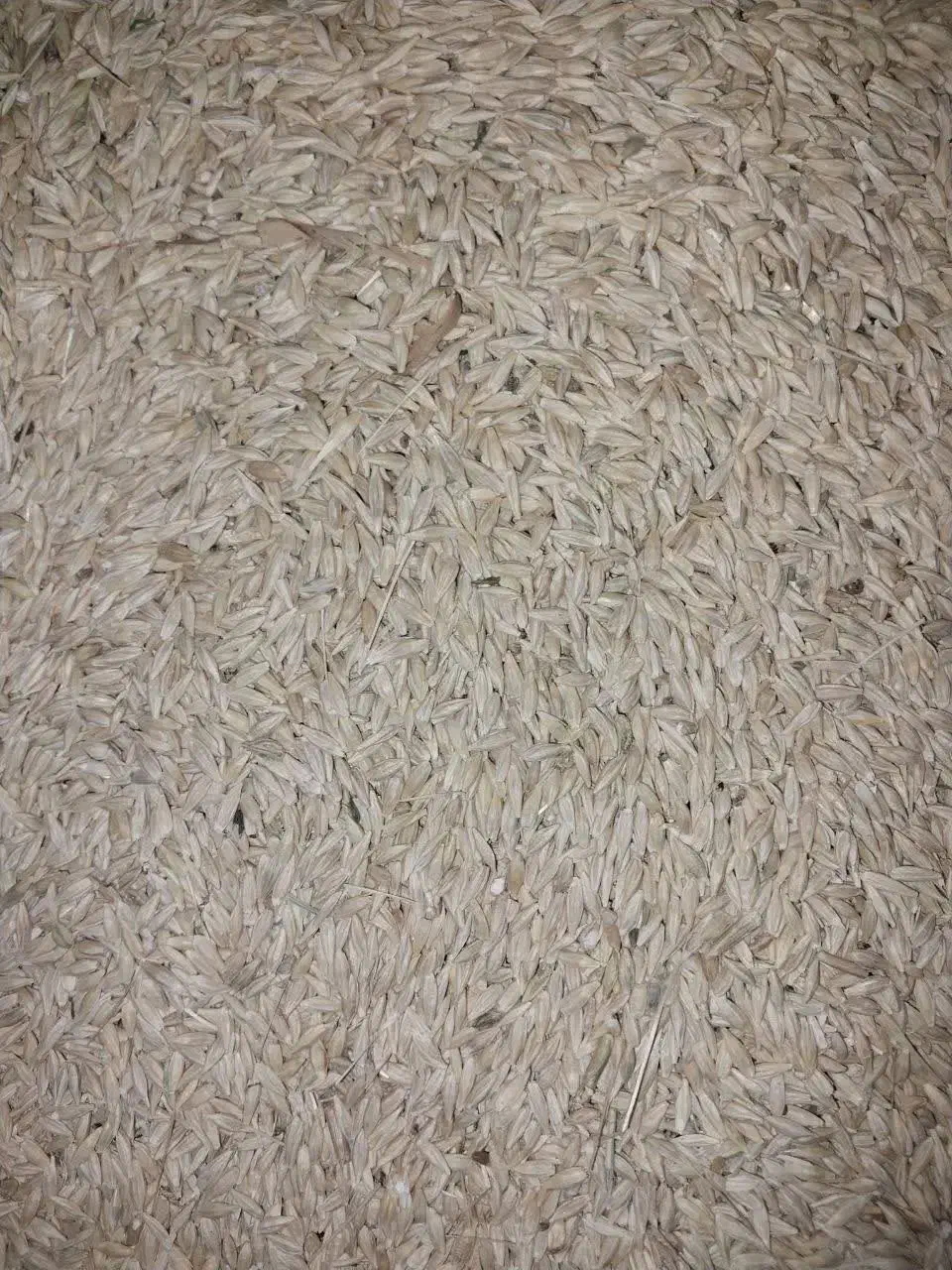 فروش یونجه چین ۲ وجو|عمدهفروشی|حلب, |دیوار